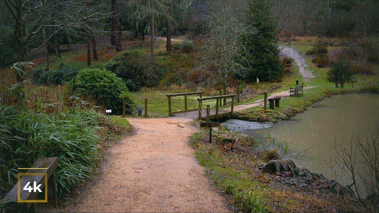 Relaxing Nature Walk in Heavy Rain 🌧️ 4K Park Ambience | ASMR Rain Sounds for Sleep, Study & Focus