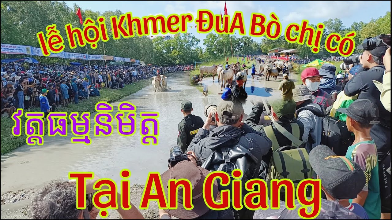 Lễ hội Khmer đua b&ograve; c&oacute; một kh&ocirc;ng hai tại An Giang v&agrave; được tổ chức tại ch&ugrave;a ធម្មនិមិតThomasnimith