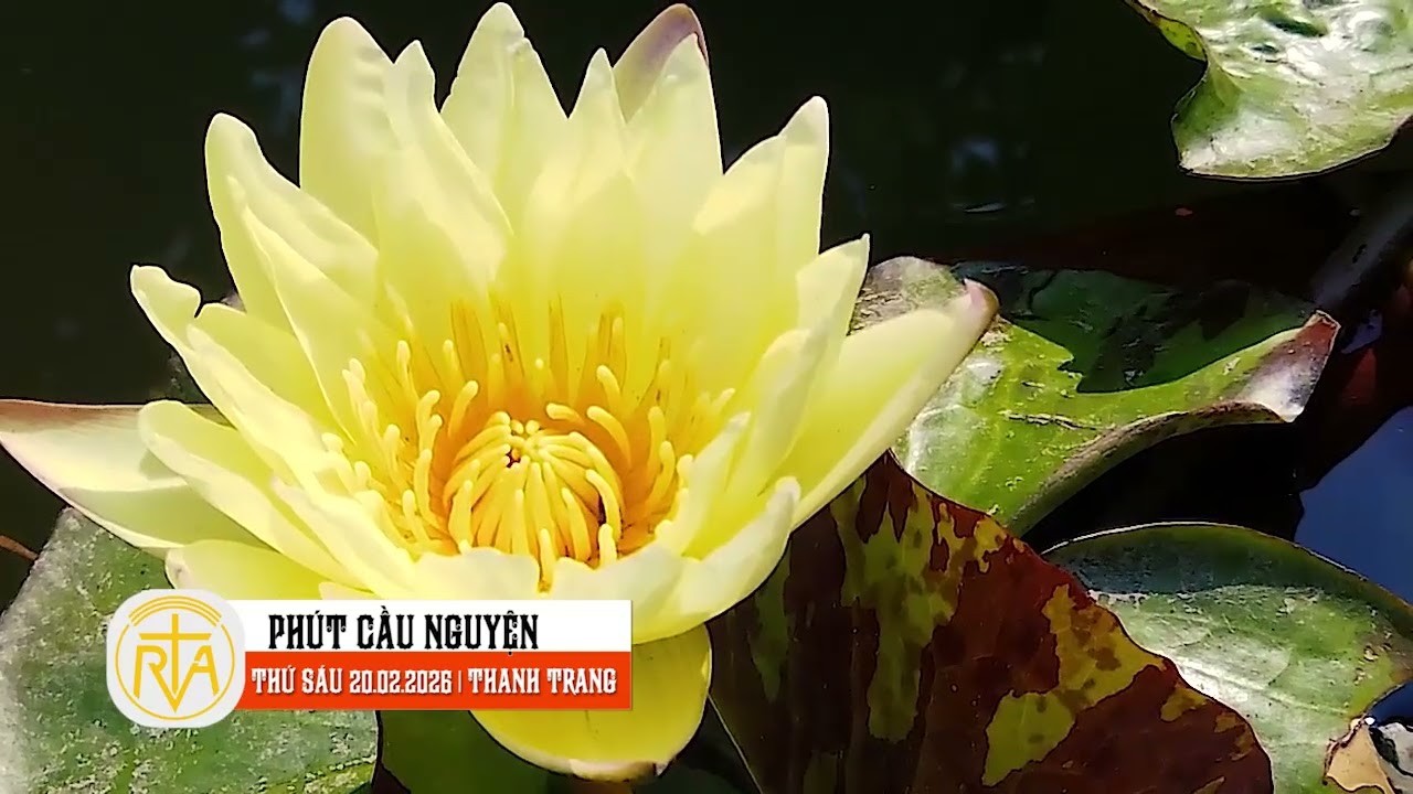 Phút Cầu Nguyện, Thứ Sáu 20/02/2026:   Hoán cải – hành trình trở về gặp Chúa