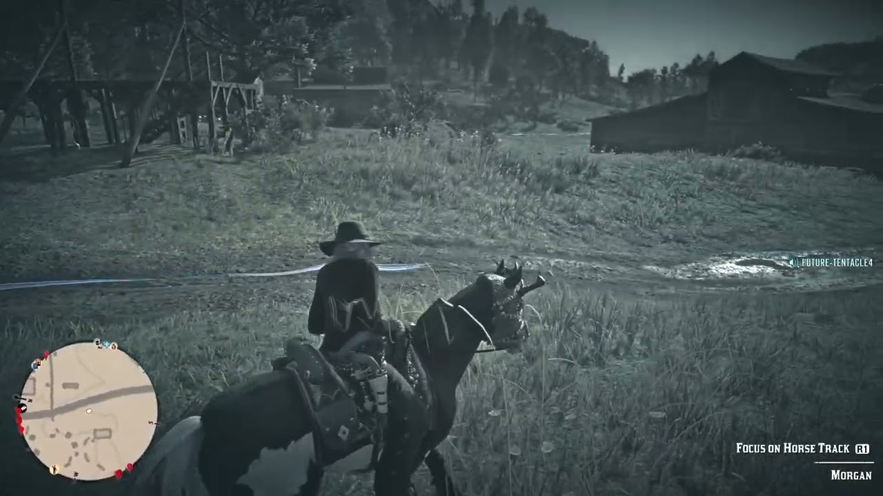 Red Dead Redemption 2 online FIGHT fun
