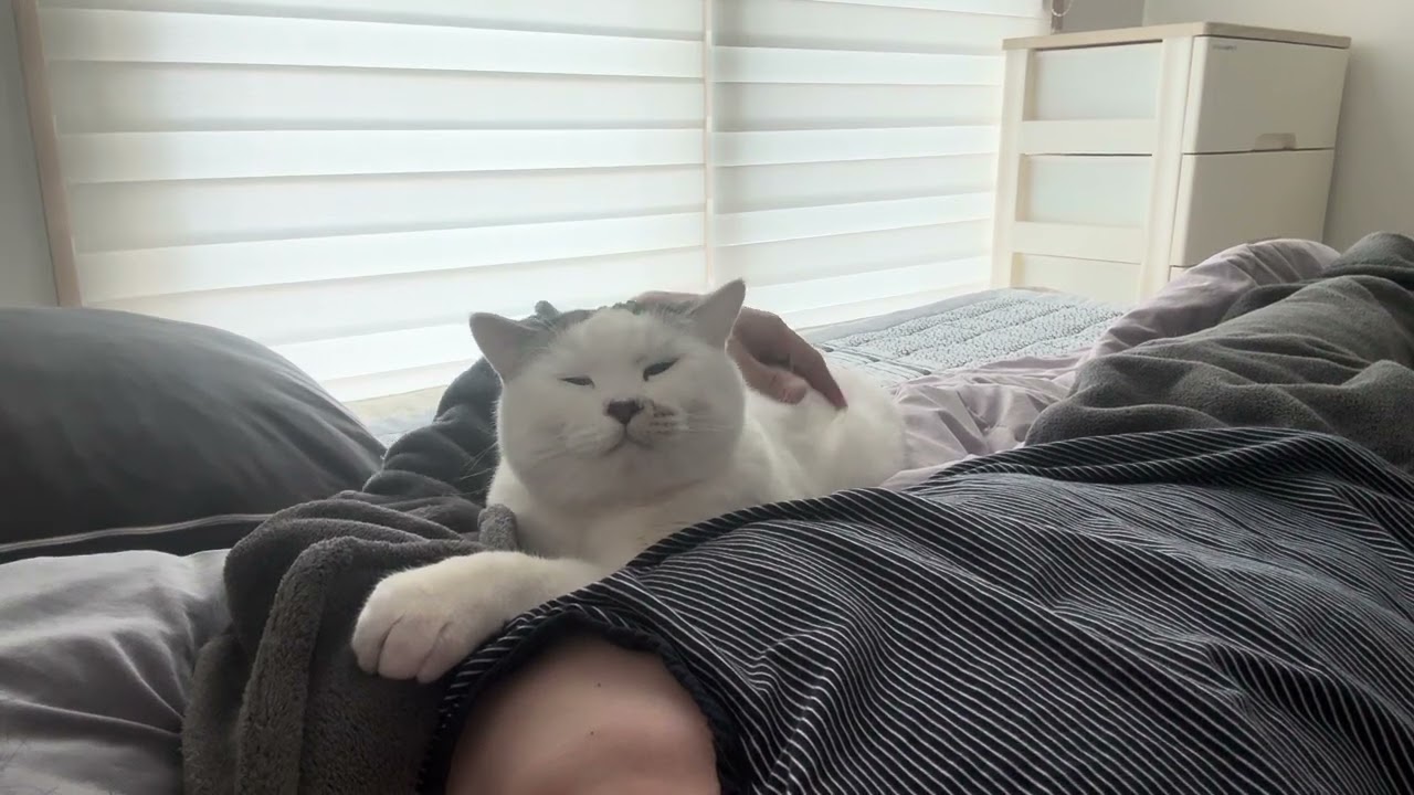 침대위