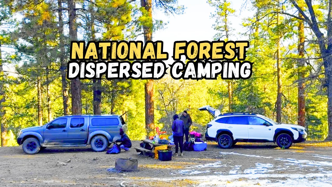 Dispersed Camping & Trout Fishing Adventure | Big Bear Lake