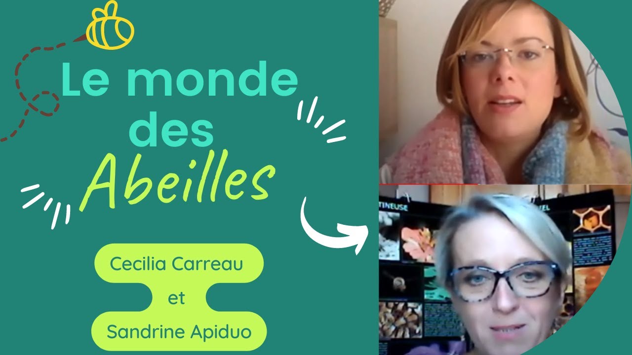 Le monde merveilleux des abeilles et produits de la ruche - Cecilia Carreau et Sandrine Apiduo