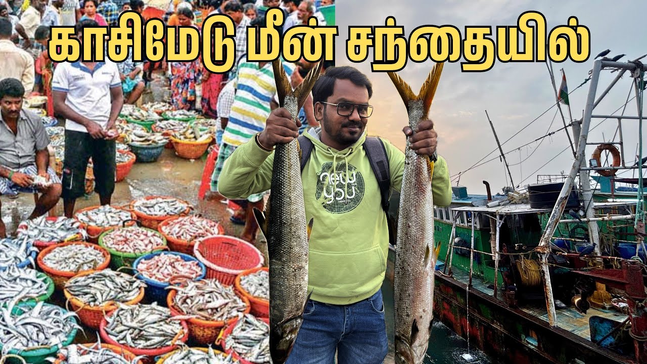 வஞ்சரம் மீன் ஏலத்தில் விலை குறைவாக உள்ளது | Kasimedu Fish Market