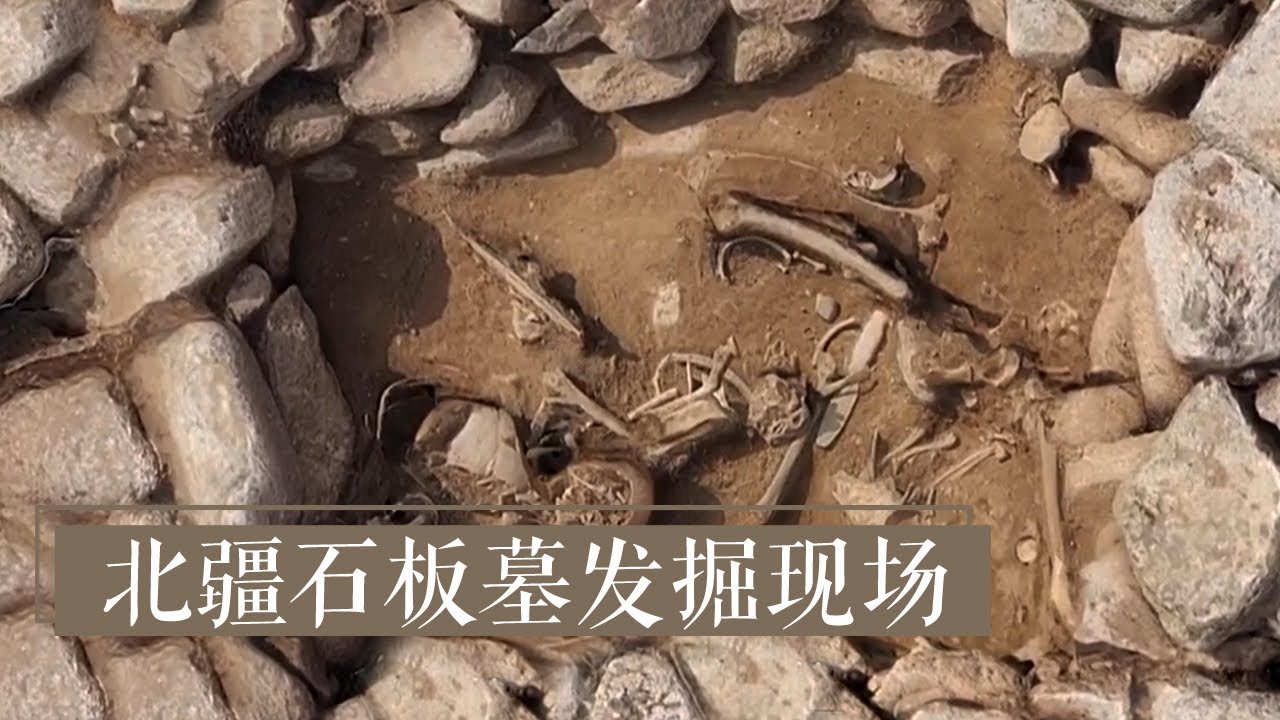 《北疆石板墓发掘现场》祭祀坑被肢解的骸骨揭示远古神秘部族历史疑团 | 中华国宝