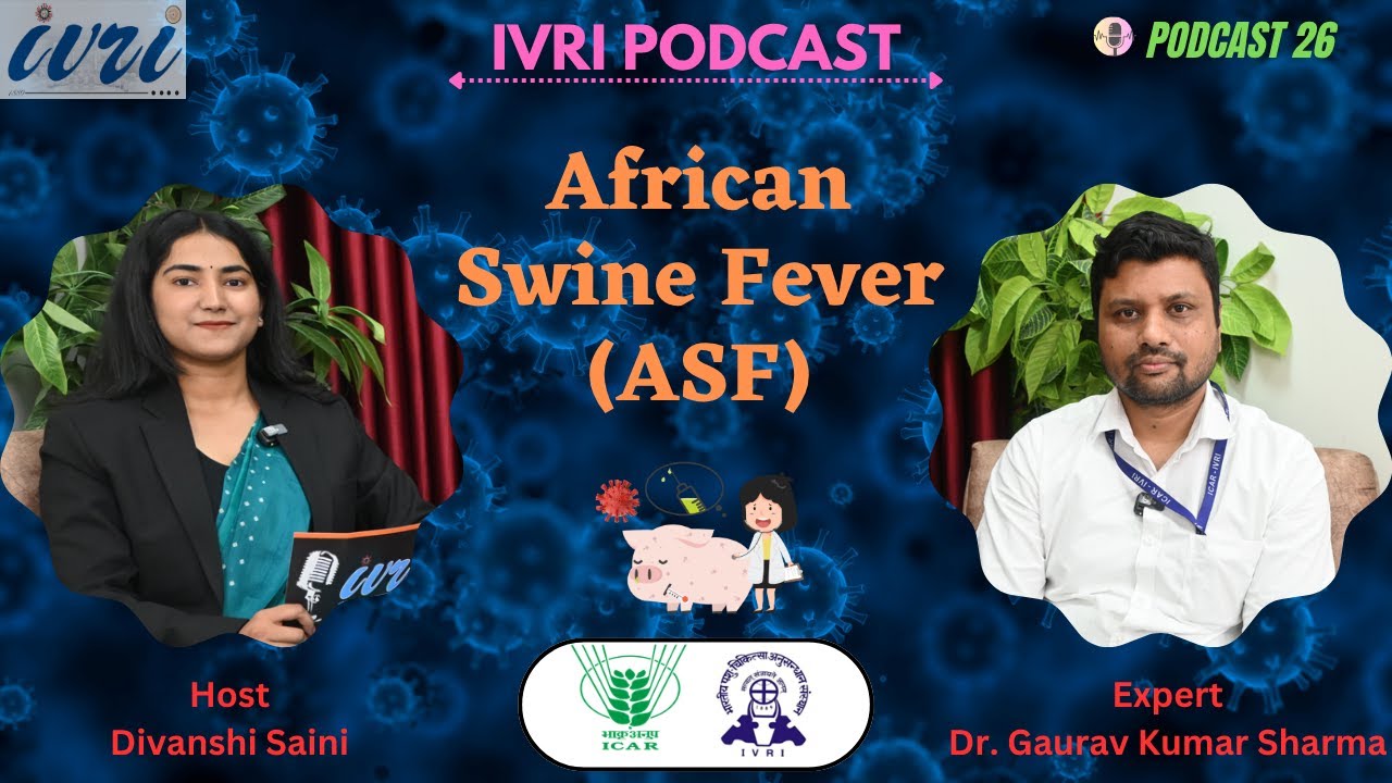 अफ्रीकी शूकर बुखार || African Swine Fever (ASF) || Podcast 26
