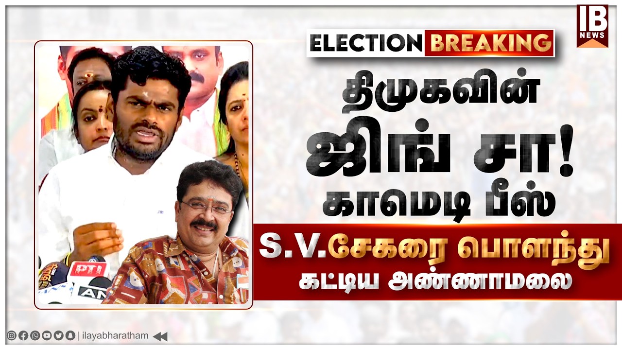 நீ யாரு ? காமெடியா மட்டும் நடிச்சுட்டு போ... உச்சகட்ட கோபத்தில் அண்ணாமலை | Annamalai | svsekar | DMK