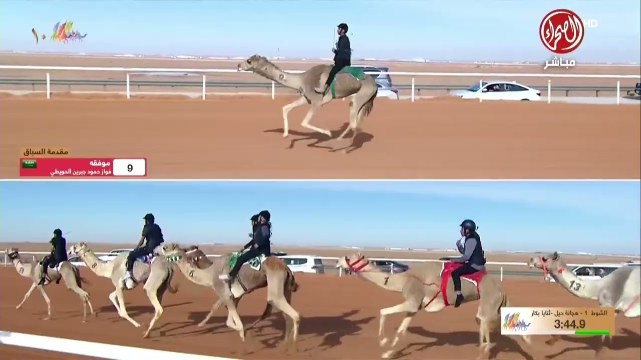الشوط 1 بكار ثنايا / حيل رجال مساء يوم الأحد 21-12-2025 من #مهرجان_الملك_عبدالعزيز_للإبل10