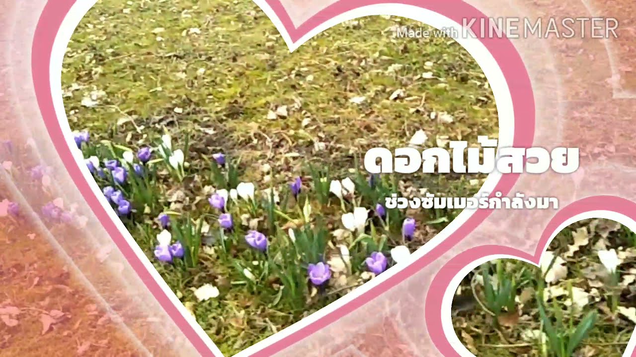 EP2 #เดินเล่นเเถวบ้านในเดนมาร์ก  #Lindved  #Danmark  2021 #คนไทยในต่างเเดน