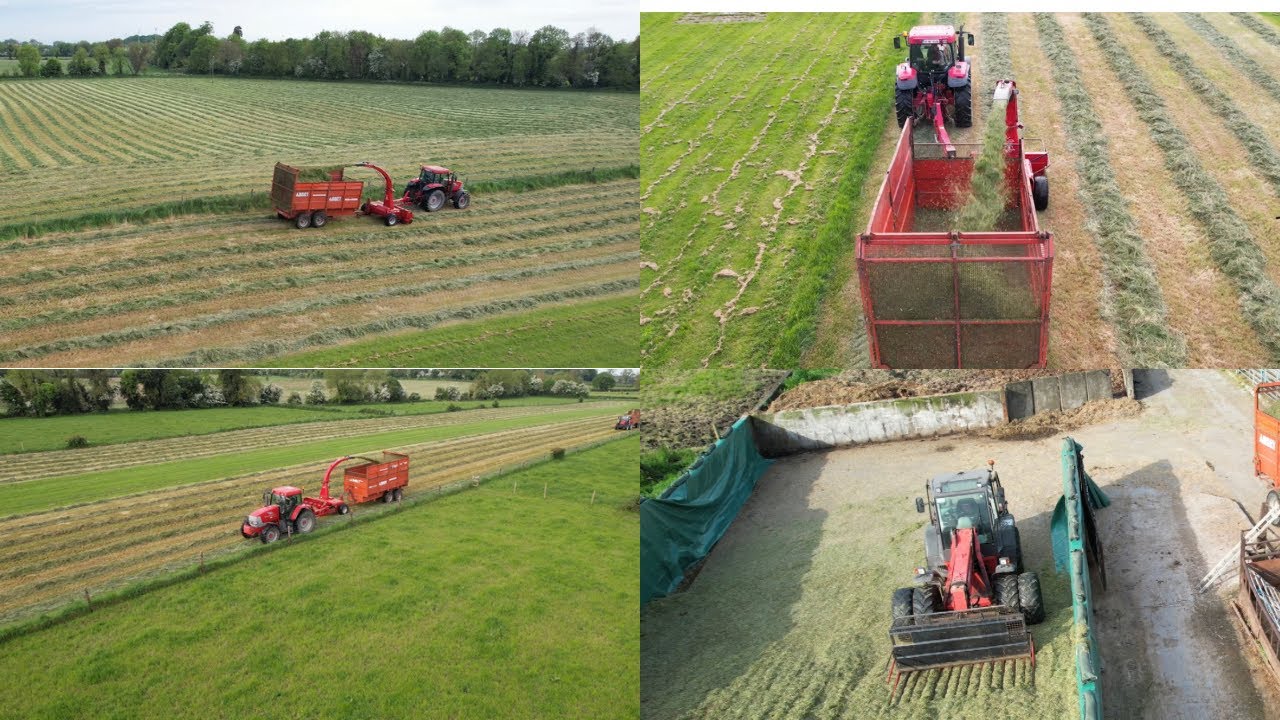 Silage 23 is a go!!! JF 955 chopping grass