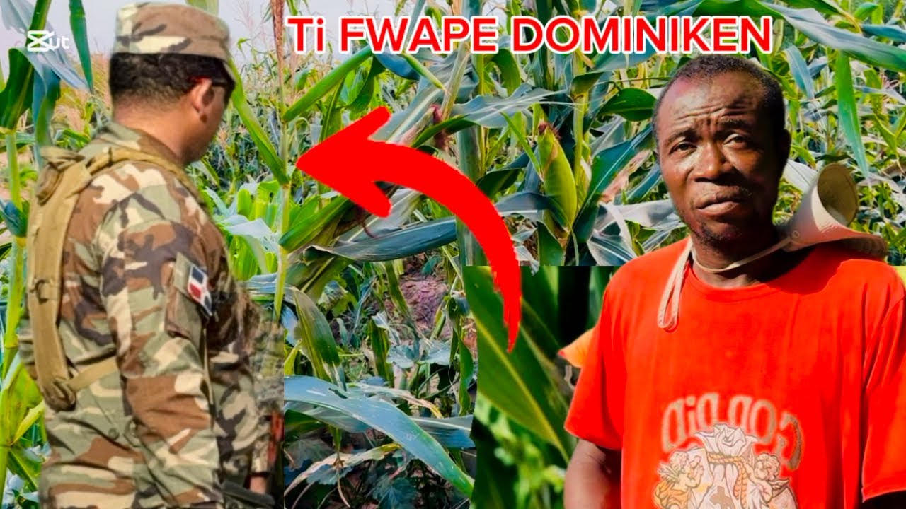 AYY FOUT TI SIWO NÈG BANBOU AH BAY DOMINIKEN YO YON KALÒT JODIA MEN FWAP ABIBI PWAL KRIYE ANKÒ 😱🌽