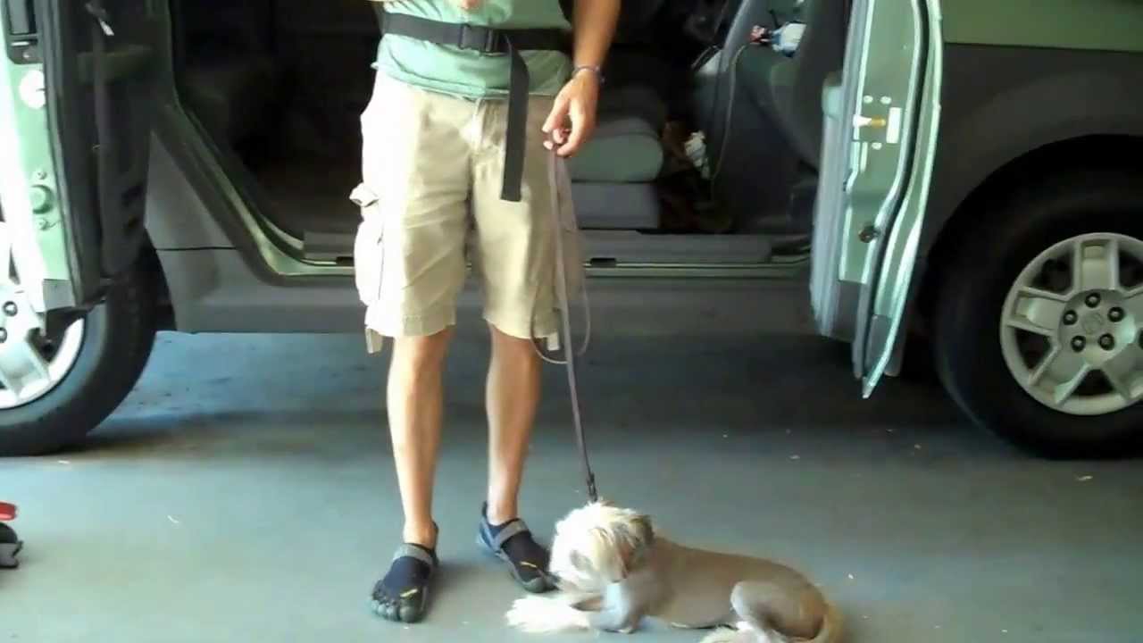 Chinese Crested Dog Training | Redeeming Dogs | Tod McVicker - Irving Dog Training