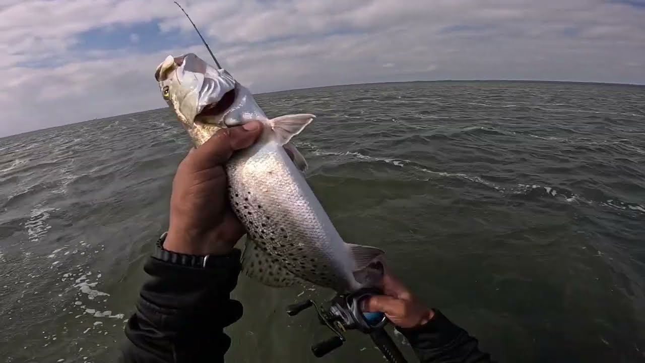 REDFISH, TROUT, AND FLOUNDER (SCOUTING)  SOUTH PADRE ISLAND,TEXAS