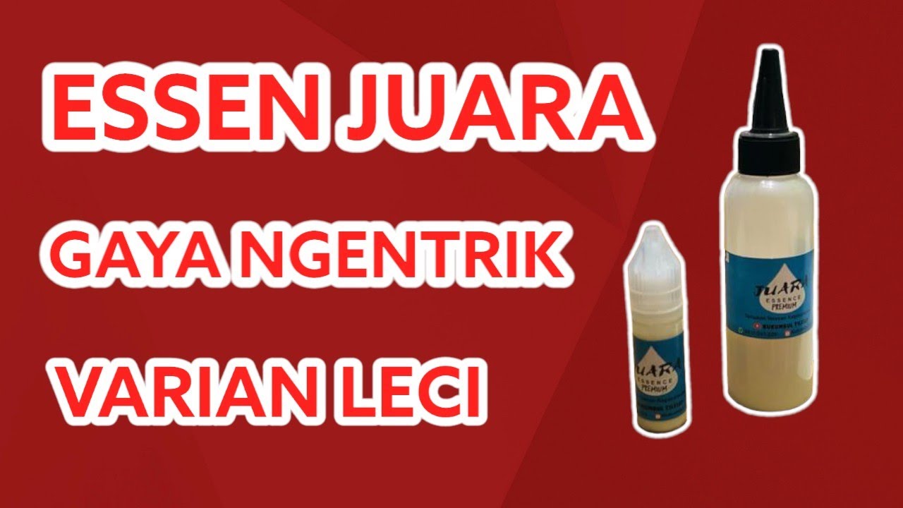 JOSS💯 NETER!!  Lomba Mancing Ikan Mas Tes Essen Varian Leci #essenikanmas #mancing l #lombamancing
