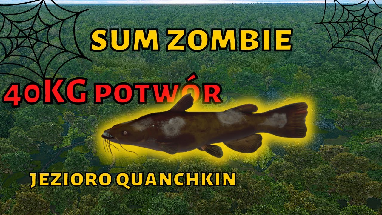 jak złowić suma zombie - ryba potw&oacute;r jezioro quanchkin