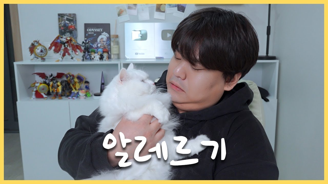 고양이 알레르기 있는 사람이 고양이를 키우면 이렇게 됩니다