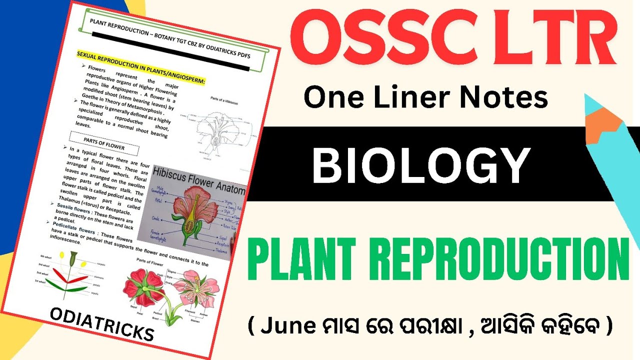 Class 112 OSSC LTR MAINS BIOLOGY - Sexual Reproduction in Plants - MaleReproductive Organ