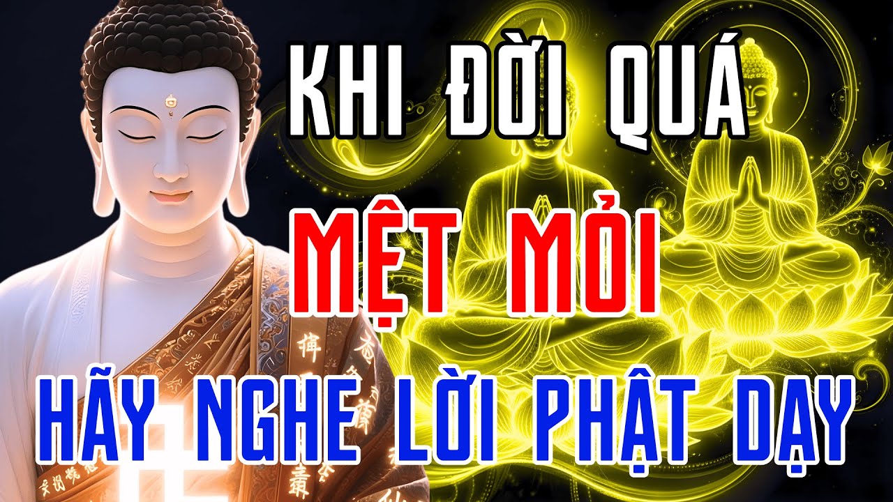 Lời Phật Dạy Thấm Tận Tâm Can – Nghe Mỗi Đêm Để Xua Tan Phiền Não, Ngủ Ngon Giấc