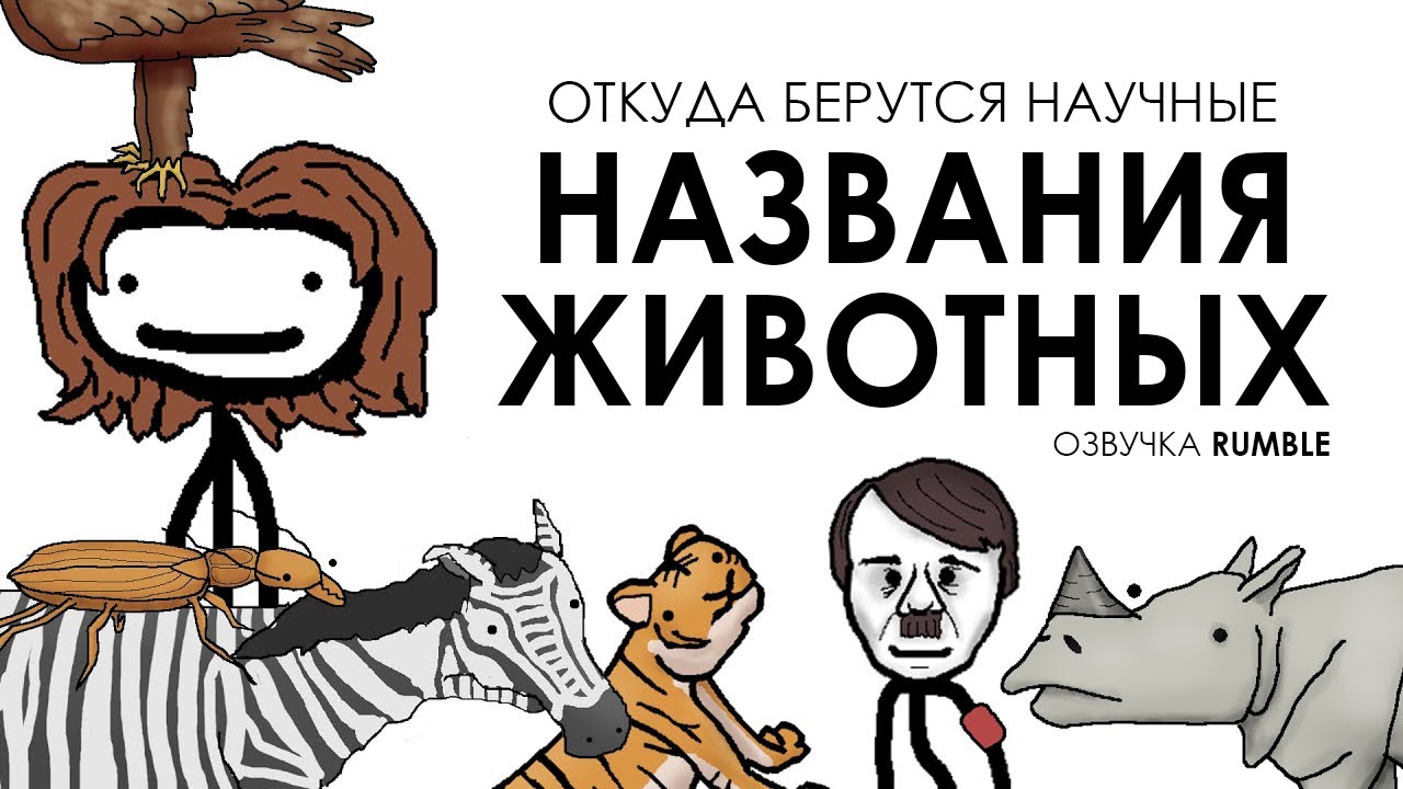 Откуда берутся научные названия животных - Академия Сэма Онеллы | Озвучка Rumble