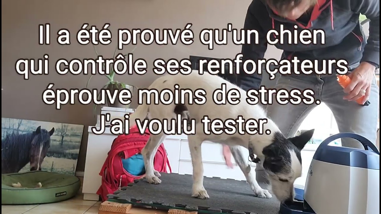 medical training : griffes- choix du timing du renforçateur