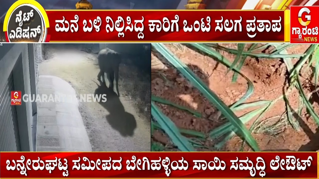 ಬೇಗಿನಹಳ್ಳಿಯ ಸಾಯಿ ಸಮೃದ್ಧಿ ಬಡಾವಣೆಗೆ ಕಾಡಾನೆ ಎಂಟ್ರಿ | Guarantee News