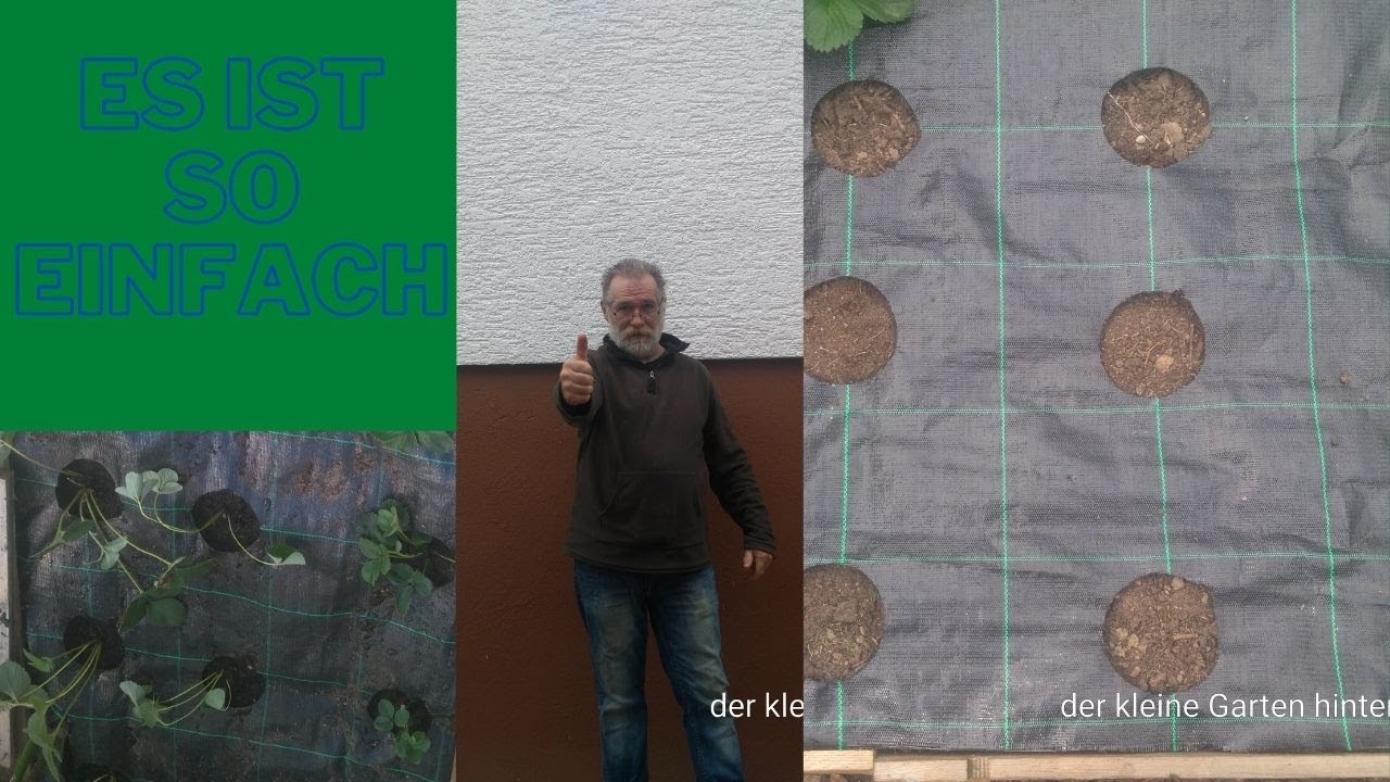 Mulchfolie und B&auml;ndchengewebe richtig verlegen