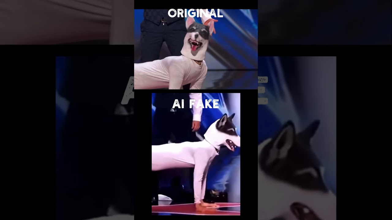 Original vs AI fake from American got talent #agt #dog  #ai #true #americangottalent