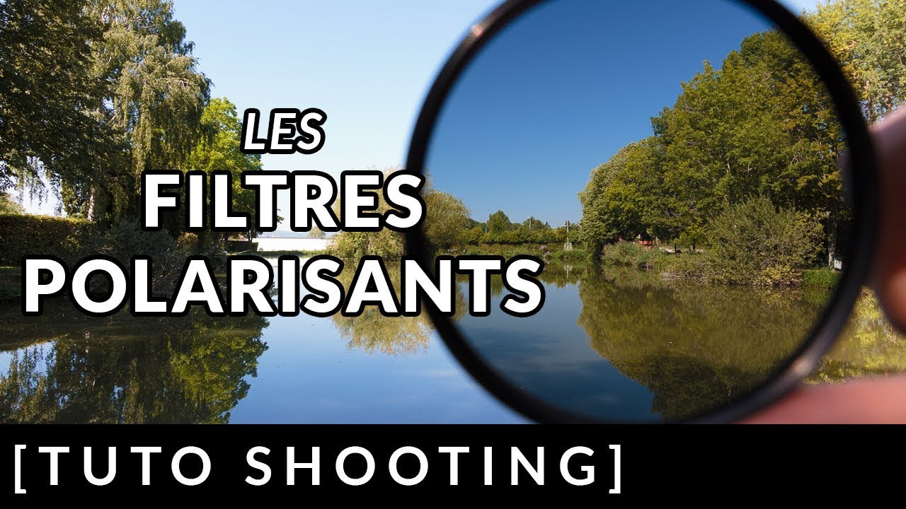 Les FILTRES POLARISANTS