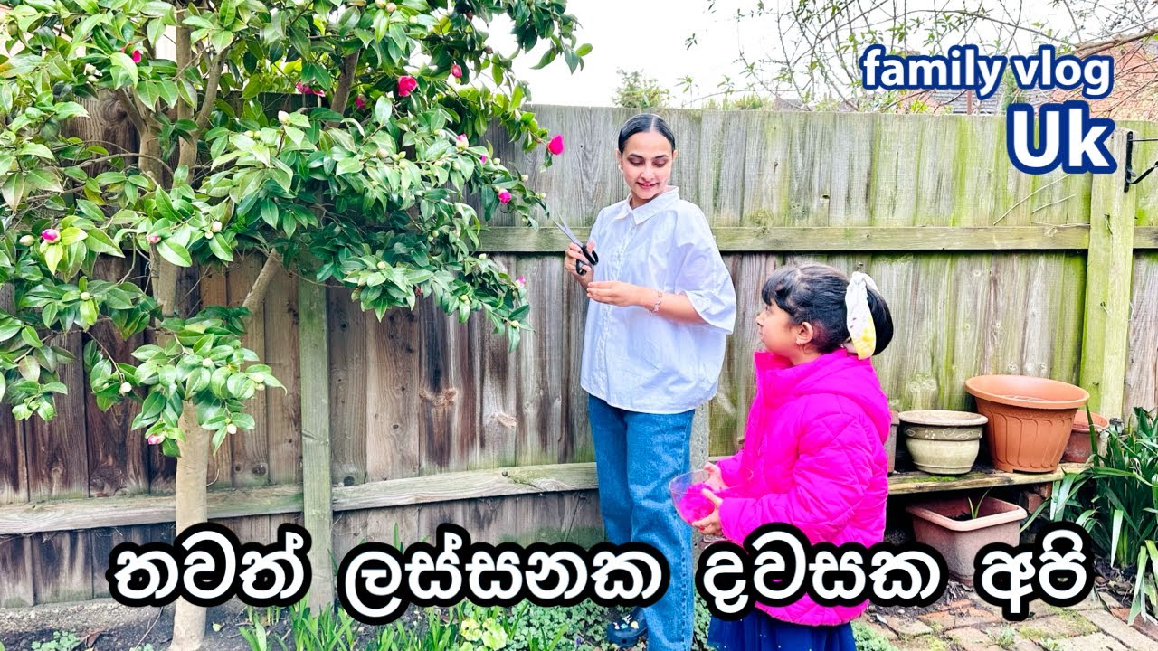 ලස්සනම දවසක අපේ පන්සලේ දානේ දවස. Let’s go and see this very beauty full temple , it’s in London.