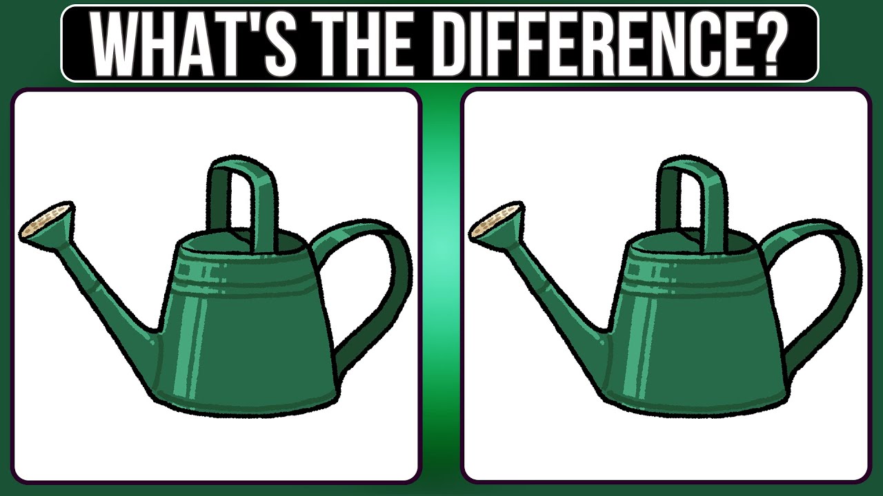 🧩Puzzle Power Hour | Find 3 Differences🧩
