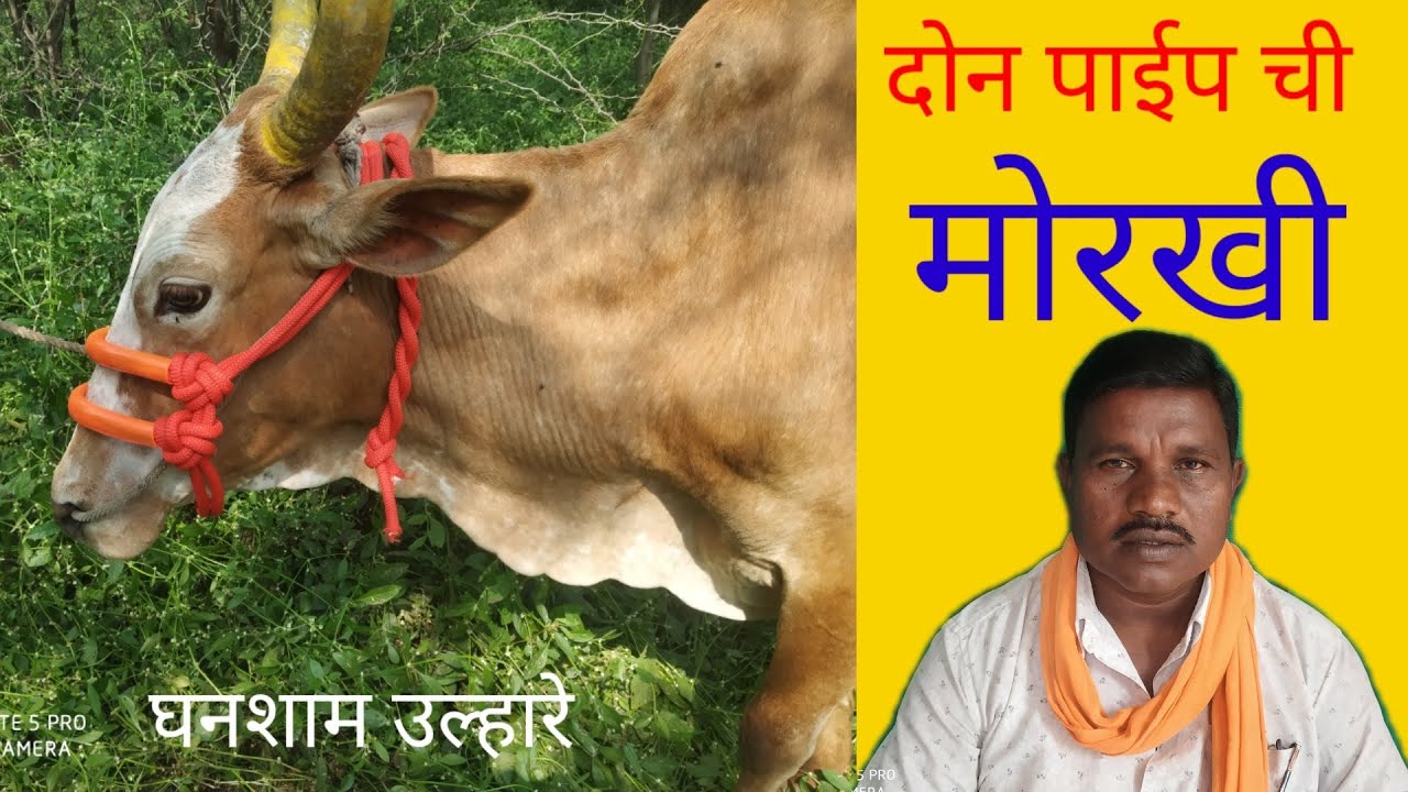 डबल(दोन) पाइपाची मोरखी बनवायला शिका