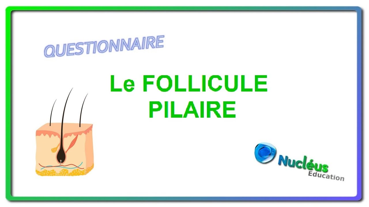 Quiz - Le follicule pilaire