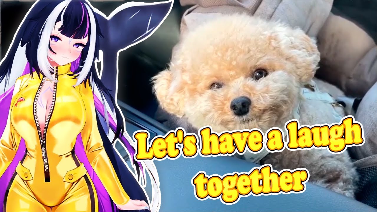 Shylily Laughs At Daily Dose Of Internet & UNUSUAL MEMES COMPILATION | Try Not to Laugh 🦐