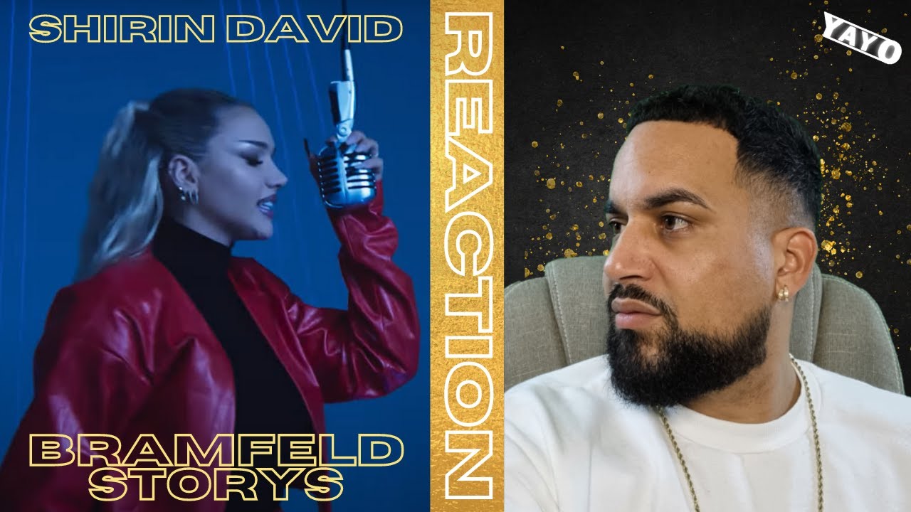 SHIRIN DAVID :  BRAMFELD STORYS I REACTION