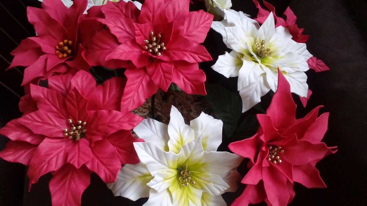 Bico de papagaio em E.V.A. flor do natal.[ noche  buena]  com e sem frisador.