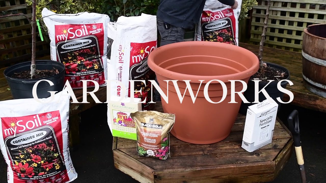 Repotting a Fruit Tree | GARDENWORKS Canada