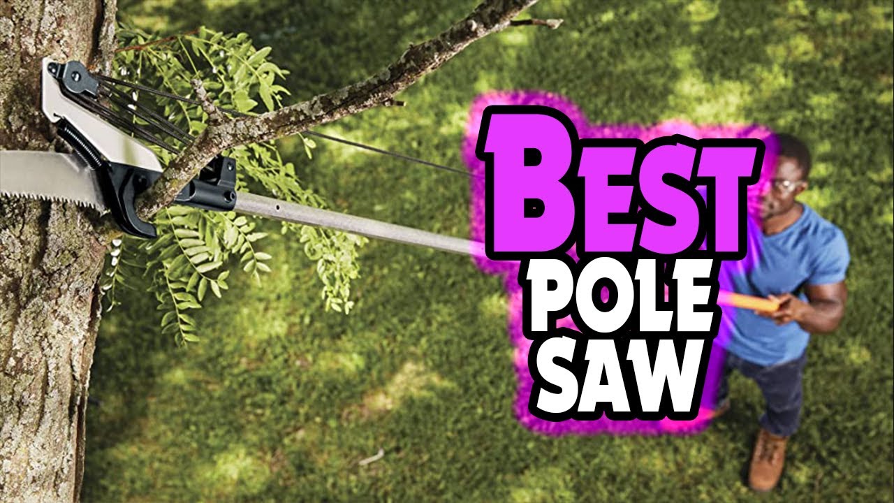 🔶Top 5: BEST Pole Saw In 2025 🏆 [ Best Electric Pole Saw ]