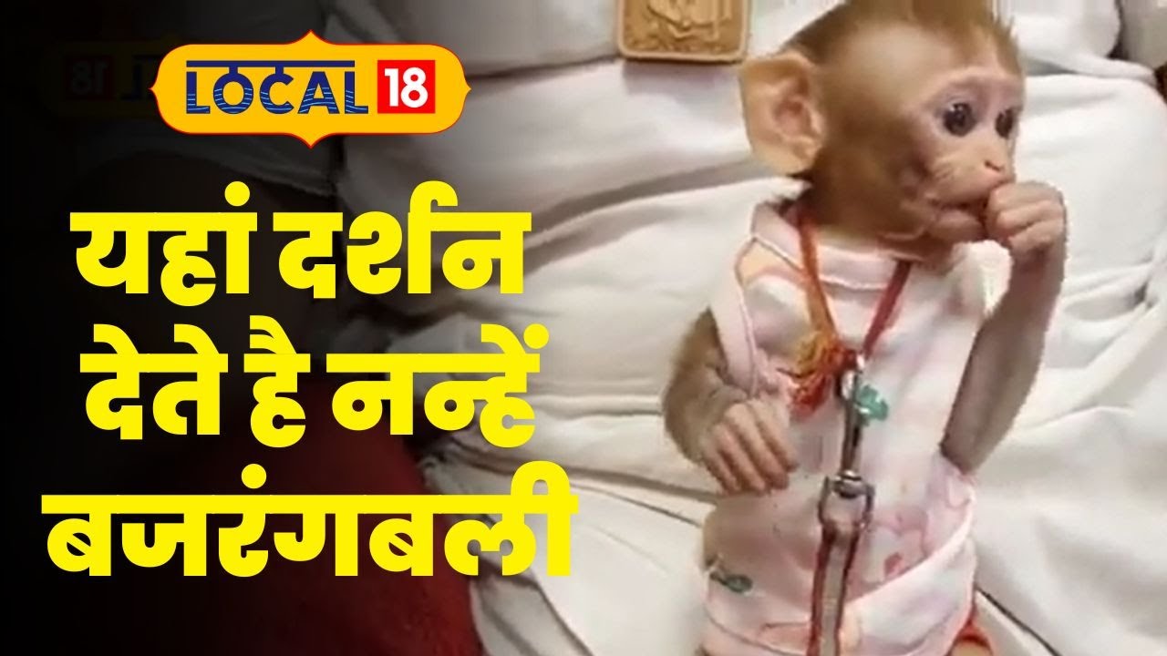 लखनऊ के इस मंदिर में ठाट से रहते हैं नन्हे बजरंगी, भक्तों को भी देते हैं दर्शन, जानें माजरा