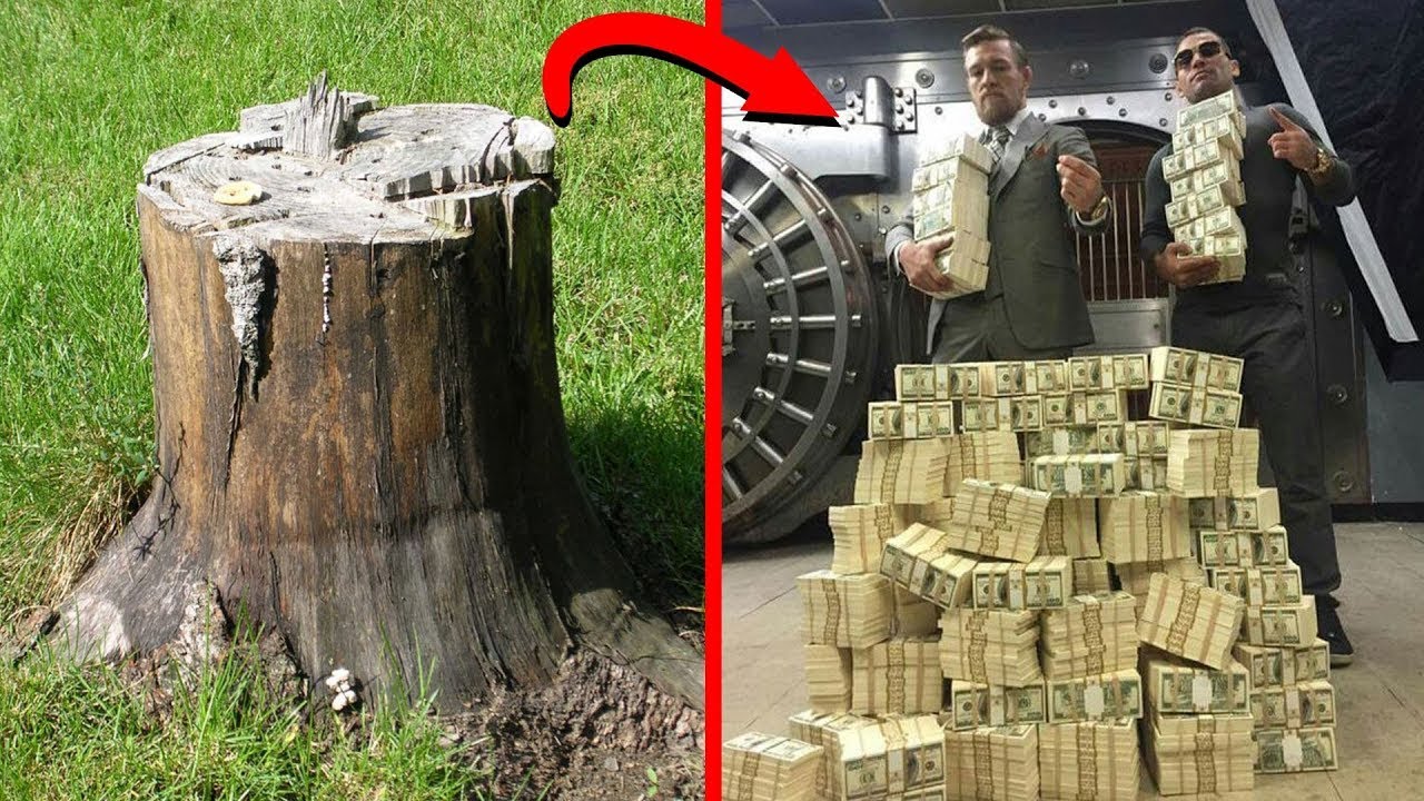 r/Prorevenge He Took My Trees, So I Took ALL His Money... It's TREE LAW!