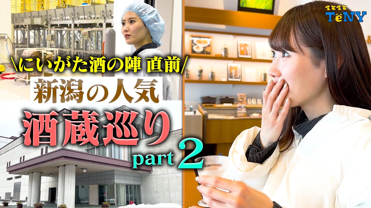 【酒の陣 直前】第２弾！新潟の人気の酒蔵をご紹介！朝日酒造の日本酒が最高すぎた！！【NGT48 西潟茉莉奈】