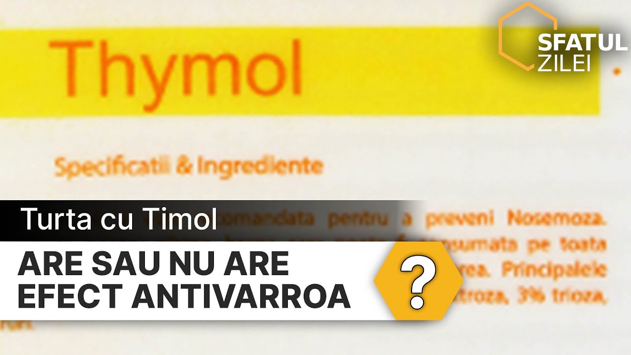 Turta cu Timol are sau nu are efect antivarroa?