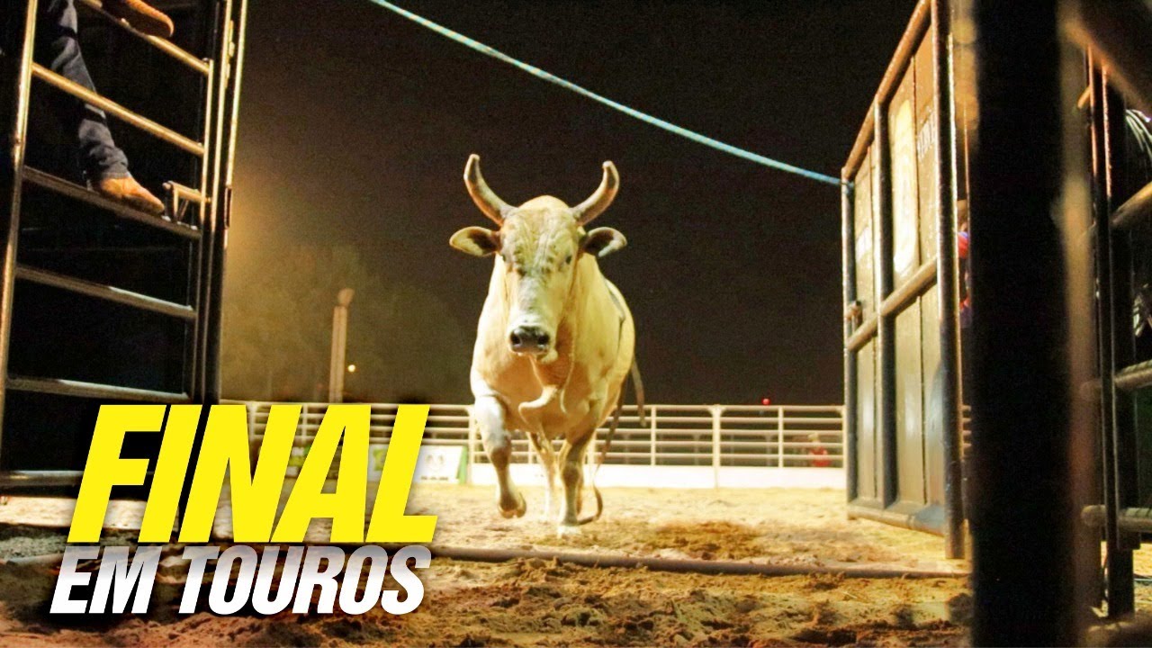✅ FINAL EM TOUROS #CRP226 - 2ª Etapa Burguesa CRP 2021