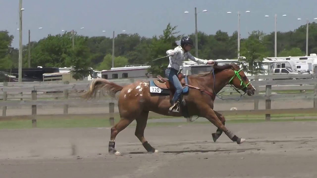 2016 05 28 Chloe's Youth Figure 8 Stake Race 14 18 #2