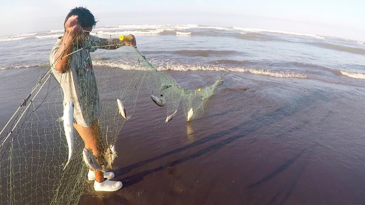 ►►MIRA la Técnicas que usa este #PESCADOR para #Pescar Lornas con Marea Alta