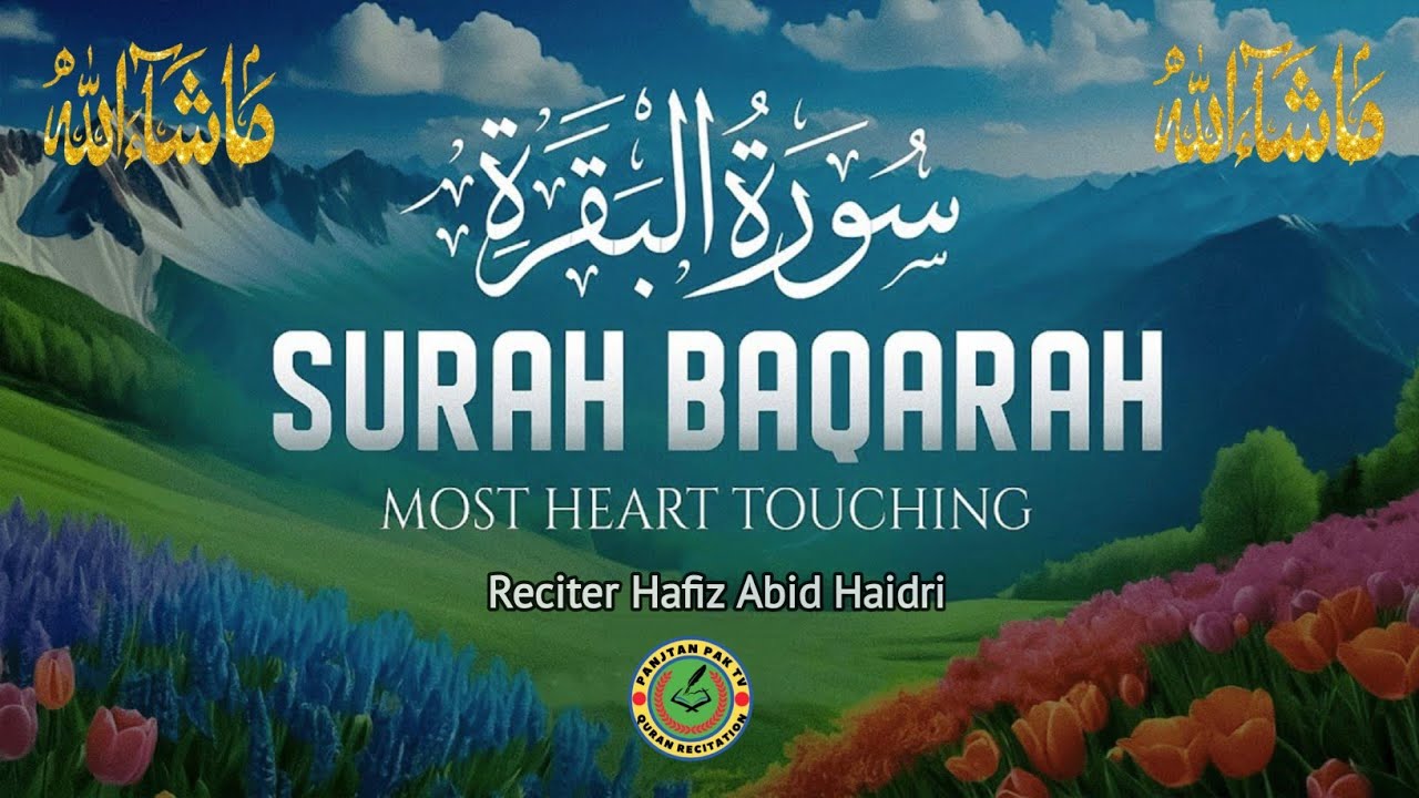 Surah Al Baqarah part 2 | سورۃ یٰسینMost beautifull Recitation by Hafiz Abid Haidri | Panjtan pak tv