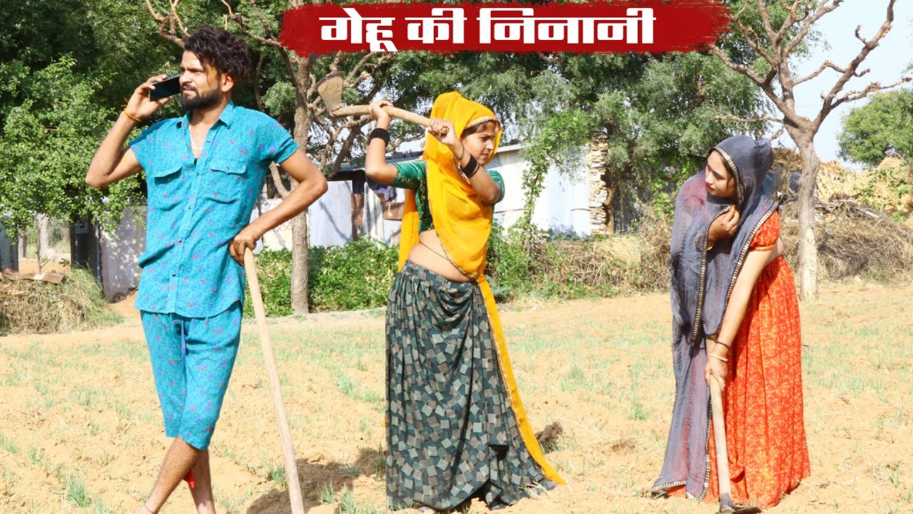 बोध्यो कर दियो  गेहू की निनानी  || सन्तोष भाभी सू होगी माथाफोड़ी  || A Rajasthani Short flim Comedy