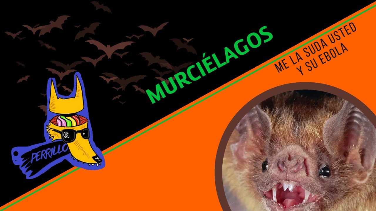 Murciélagos: Poderosos con P de Pandemia. | Ep 98| CULTURA COLMILLUDA
