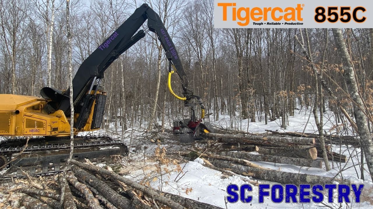 Tigercat 855C Harvester With LogMax 7000 in Hardwood