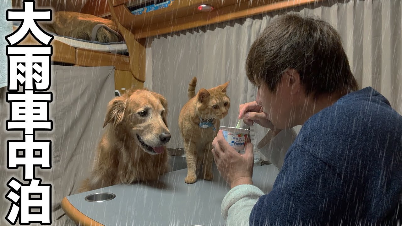 【神奈川】大雨で大変だったけど、家族で過ごせばずっと楽しい【車中泊】