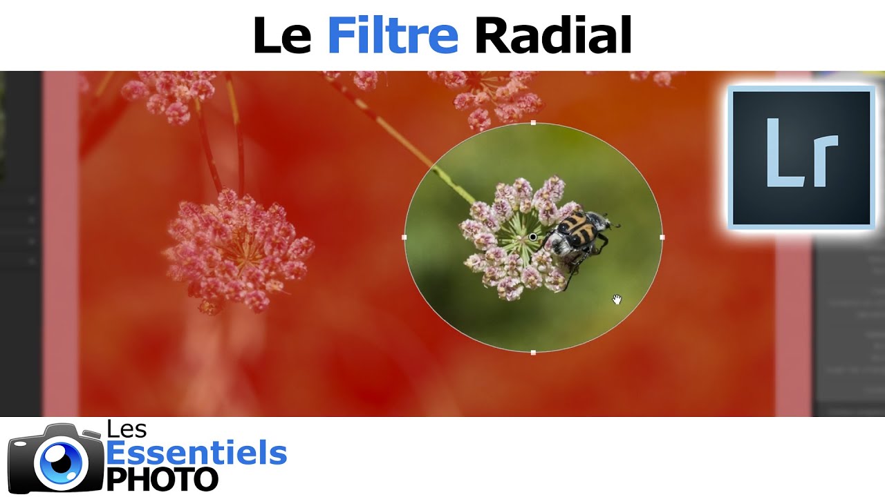 Utiliser le FILTRE RADIAL dans LIGHTROOM